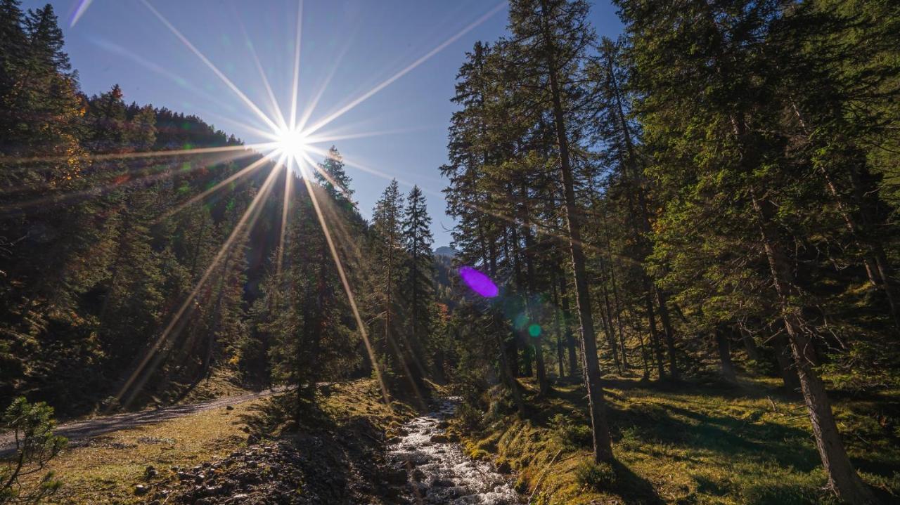 Hotel Garni Isarlodge Wiesenhof Scharnitz Kültér fotó