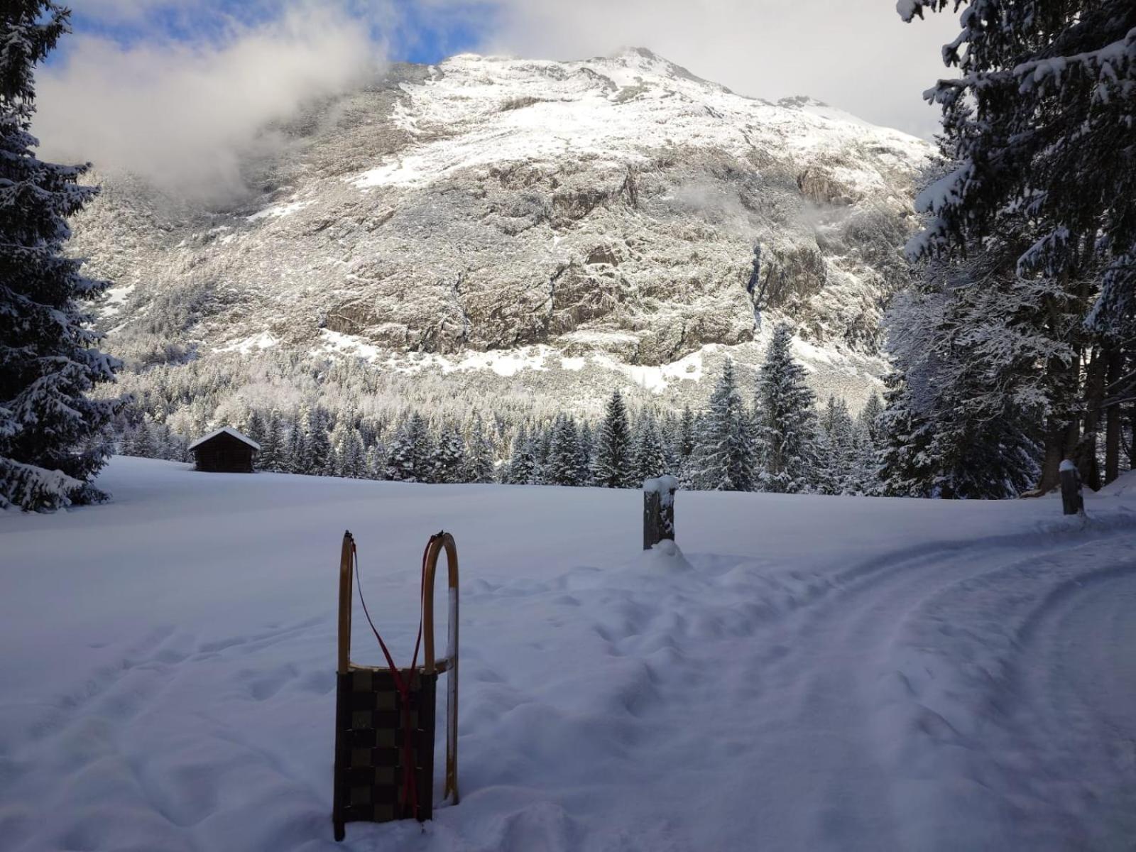 Hotel Garni Isarlodge Wiesenhof Scharnitz Kültér fotó